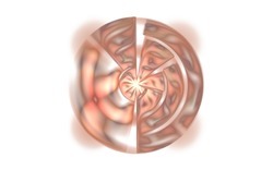 20140319 Julian Disc s-white.jpg